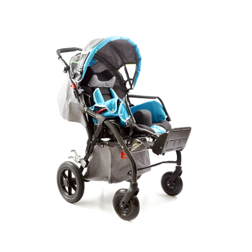 Roadster Buggy